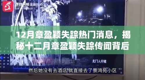 揭秘章盈颖失踪传闻,十二月神秘角落的小巷独特小店探寻真相之路