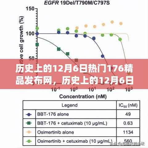 历史上的12月6日精品发布网探索指南,全面任务从零起步完成