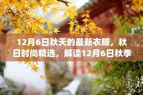 解读秋季时尚精选，12月6日最新衣物潮流趋势的秋日时尚指南