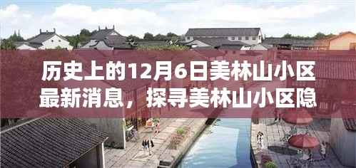 探寻美林山小区隐秘宝藏,特色小店与历史上的最新消息