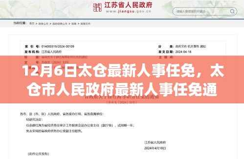 太仓市人民政府最新人事任免通知，聚焦人事调整动态（12月6日更新）