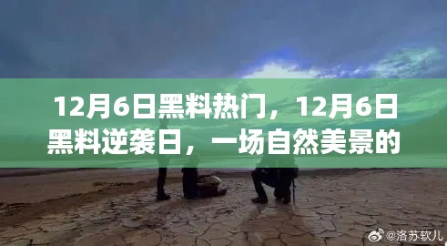 feiqiandongzhi 第14页