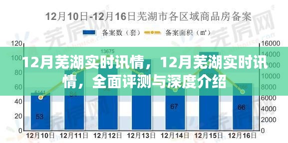 深度解析,全面评测与介绍芜湖市十二月实时讯情