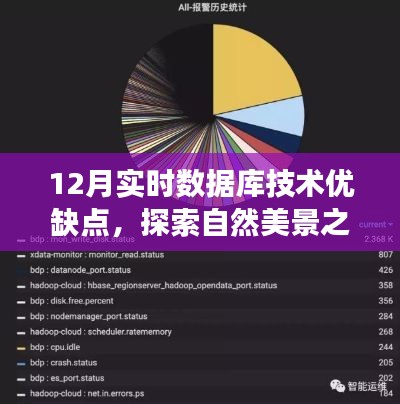 十二月实时数据库技术,优缺点与自然美景探索的心灵碰撞之旅