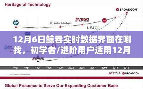 12月6日鲸吞实时数据界面查找全攻略，适合初学者与进阶用户