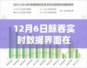 12月6日鲸吞实时数据界面查找全攻略,适合初学者与进阶用户