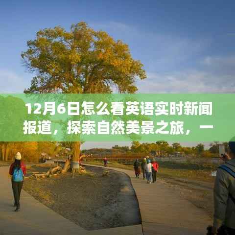 12月6日,英语实时新闻报道下的自然美景探索之旅启动!