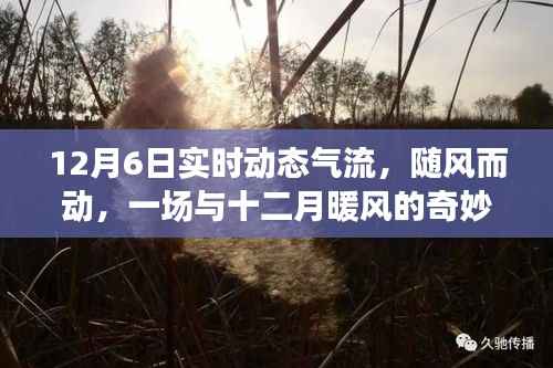 十二月暖风的奇妙旅行,实时动态气流探索