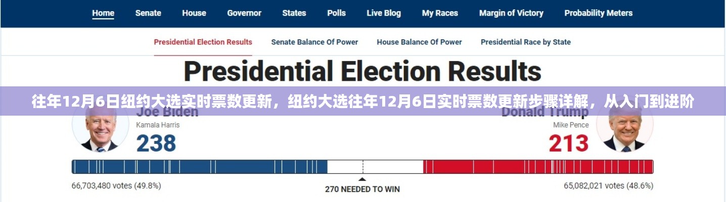 纽约大选历年12月6日实时票数更新详解,入门到进阶指南