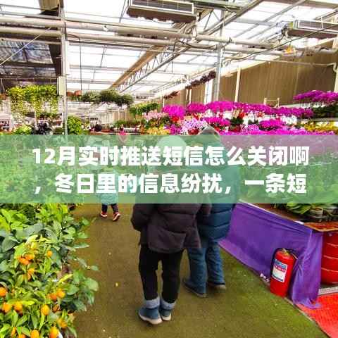 冬日短信纷扰中的关闭之旅，暖心故事与操作指南