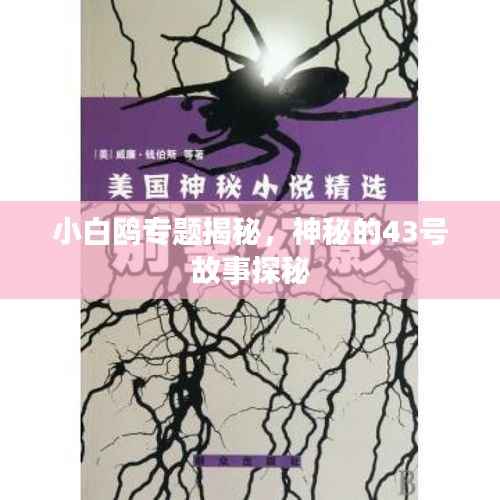 小白鸥专题揭秘,神秘的43号故事探秘