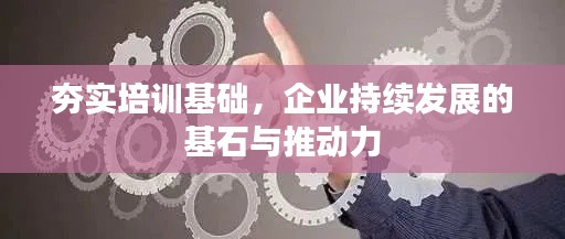 夯实培训基础,企业持续发展的基石与推动力