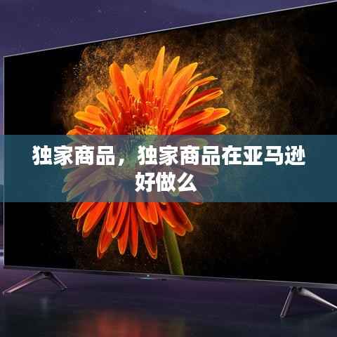 独家商品,独家商品在亚马逊好做么