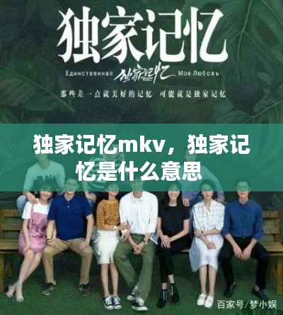 独家记忆mkv,独家记忆是什么意思