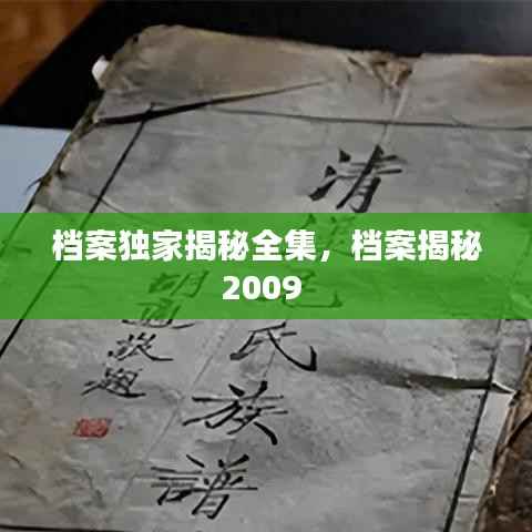 档案独家揭秘全集,档案揭秘2009