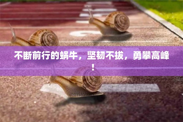 不断前行的蜗牛，坚韧不拔，勇攀高峰！