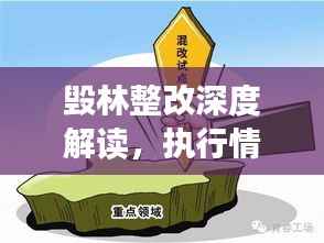 毁林整改深度解读，执行情况一览无遗