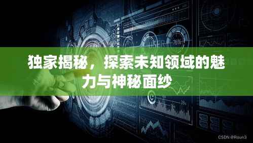独家揭秘,探索未知领域的魅力与神秘面纱