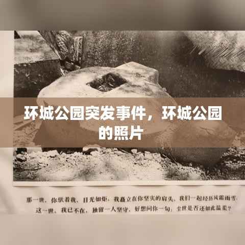 环城公园突发事件,环城公园的照片