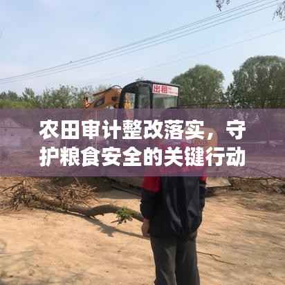 农田审计整改落实，守护粮食安全的关键行动