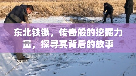 东北铁锹，传奇般的挖掘力量，探寻其背后的故事