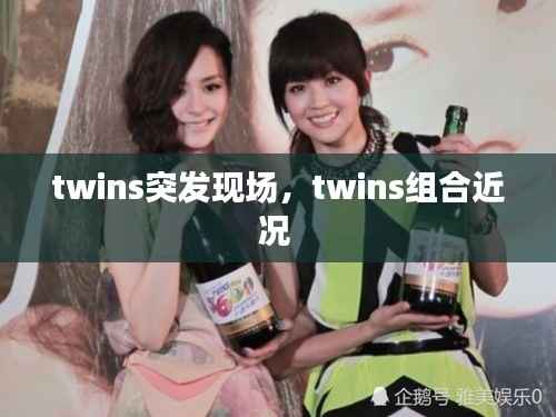 twins突发现场,twins组合近况