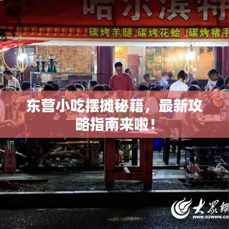 东营小吃摆摊秘籍,最新攻略指南来啦!