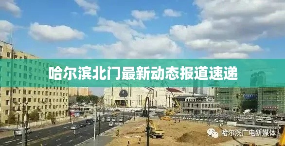 哈尔滨北门最新动态报道速递