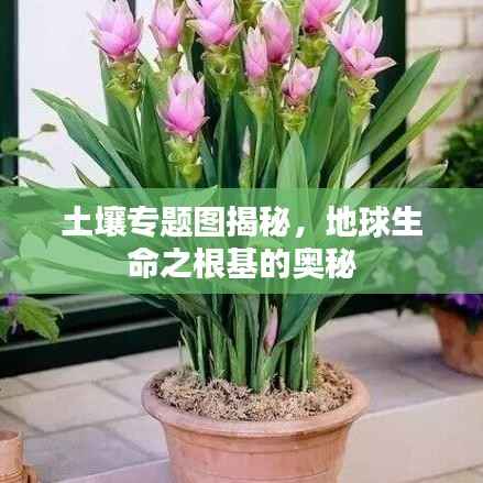 土壤专题图揭秘，地球生命之根基的奥秘