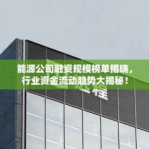 能源公司融资规模榜单揭晓,行业资金流动趋势大揭秘!