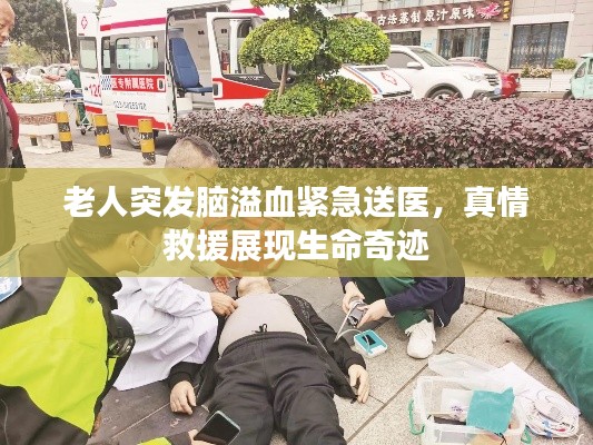 yishisanniao 第9页