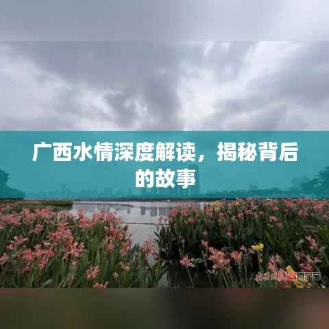 广西水情深度解读,揭秘背后的故事