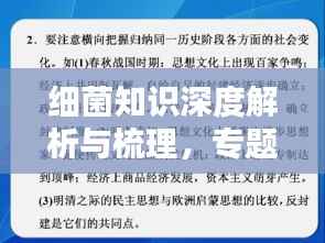 细菌知识深度解析与梳理,专题复习指南
