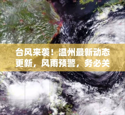 台风来袭!温州最新动态更新,风雨预警,务必关注!
