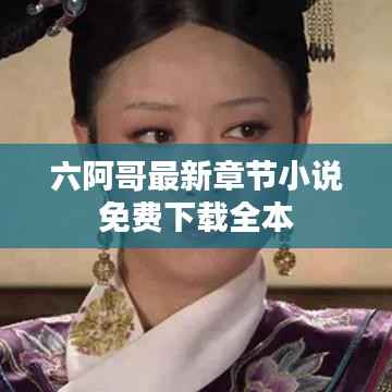 六阿哥最新章节小说免费下载全本