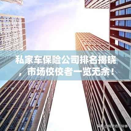 私家车保险公司排名揭晓,市场佼佼者一览无余!