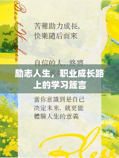 励志人生,职业成长路上的学习箴言