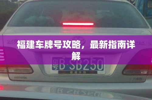 福建车牌号攻略,最新指南详解