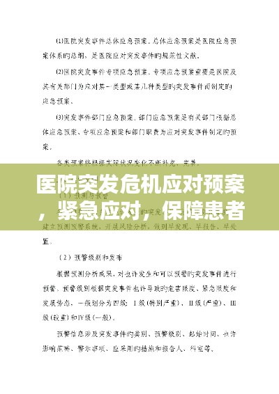 医院突发危机应对预案,紧急应对,保障患者安全