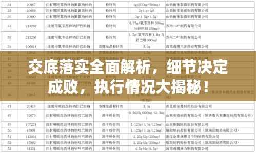 交底落实全面解析,细节决定成败,执行情况大揭秘!