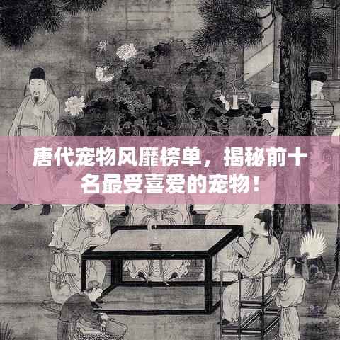 唐代宠物风靡榜单,揭秘前十名最受喜爱的宠物!