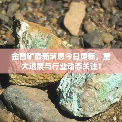 九死一生 第8页