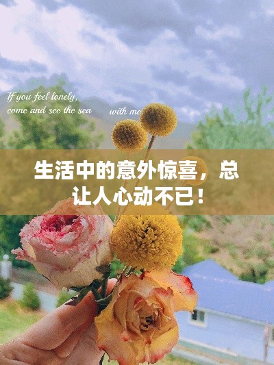 生活中的意外惊喜,总让人心动不已!