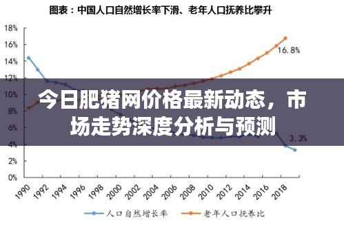 今日肥猪网价格最新动态,市场走势深度分析与预测