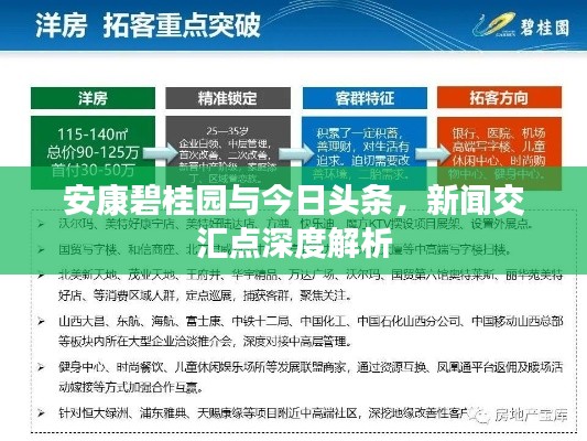 安康碧桂园与今日头条,新闻交汇点深度解析