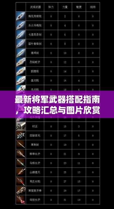 最新将军武器搭配指南,攻略汇总与图片欣赏