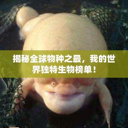 揭秘全球物种之最,我的世界独特生物榜单!