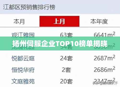 扬州伺服企业TOP10榜单揭晓