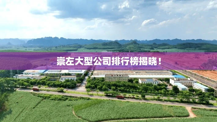 崇左大型公司排行榜揭晓！