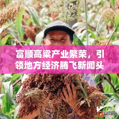 富顺高粱产业繁荣,引领地方经济腾飞新闻头条